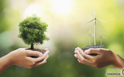 Jakie są wady i zalety OZE?